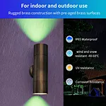 LED fence wall lights